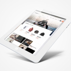Perfect e-Commerce theme