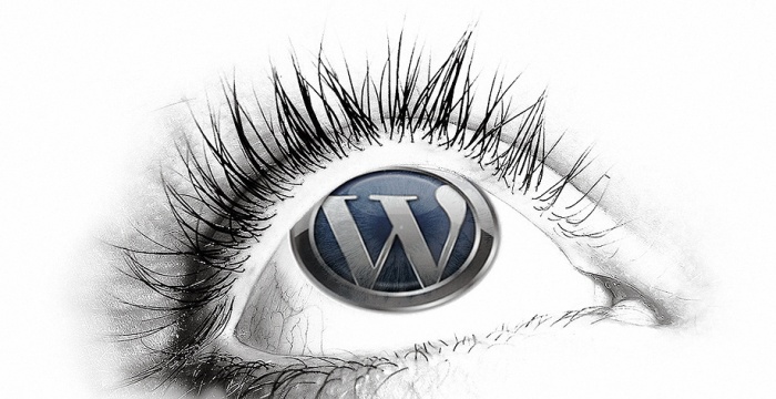WordPress Top Professional Design