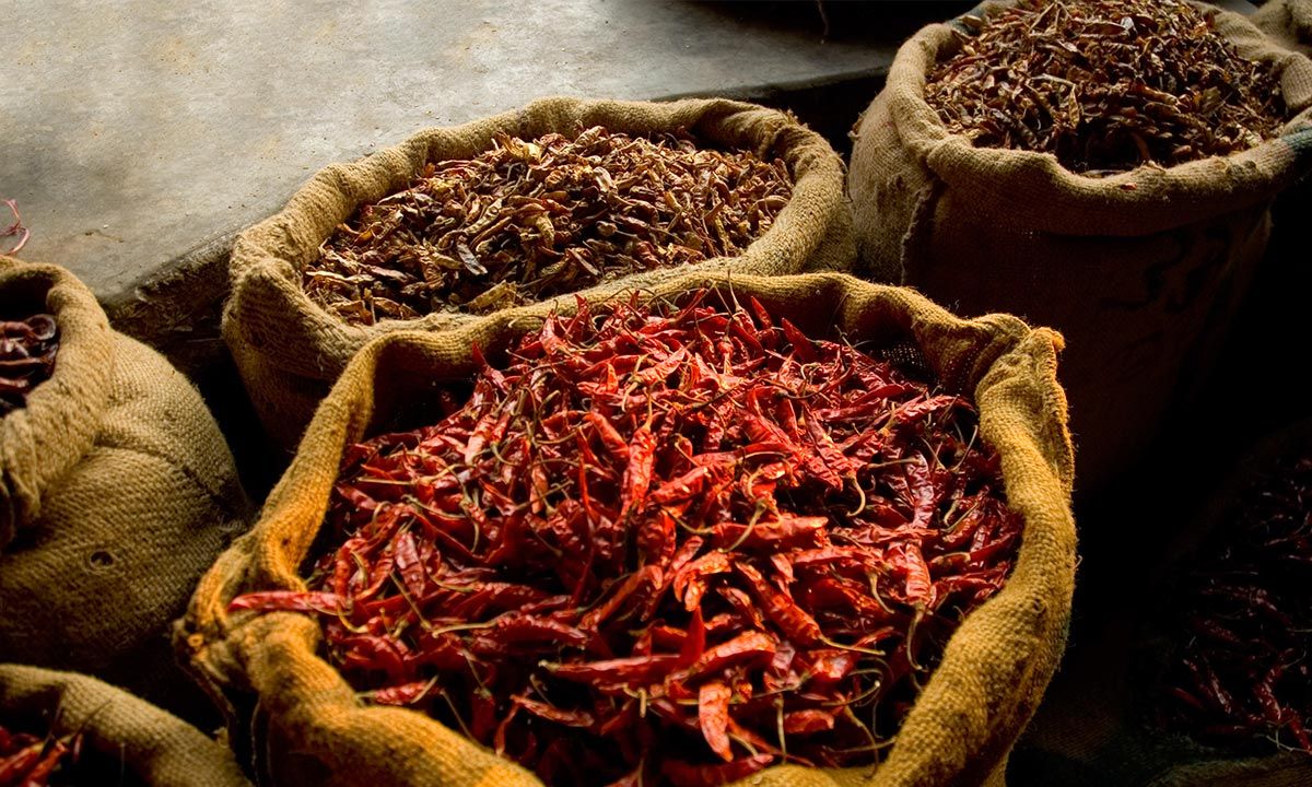 Dried chilli peppers in sacs