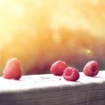 berries2-jpg
